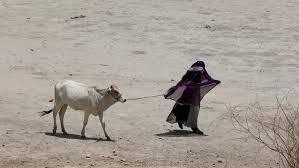 जिस्म झुलसा रही आसमान से बरस रही आग