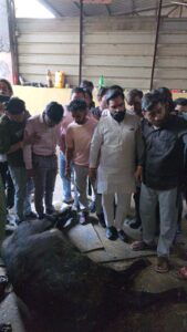 इलाज नहीं यहां गौ माता को मिलती है मौत