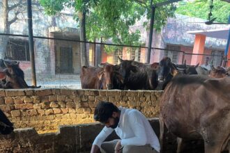 निरीक्षण को गौ सेवक पहुंचे माछरा गौशाला