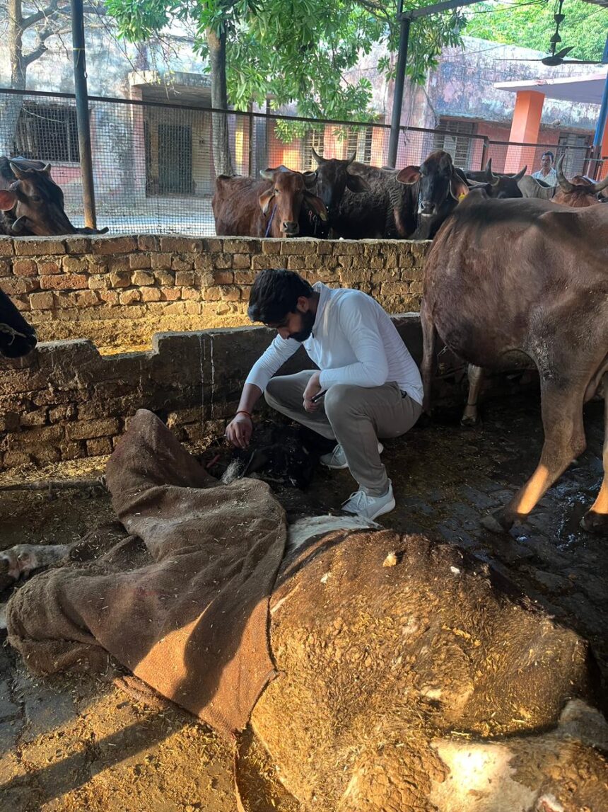 निरीक्षण को गौ सेवक पहुंचे माछरा गौशाला