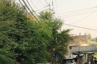 साहब! त्यौहार है अब तो वार्ड में काम करा दो वर्ना पब्लिक..