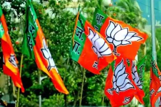 नए चेहरों पर भरोसे का जोखिम नहीं