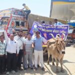 बैल ठेला चलाने को मजबूर ट्रांसपोर्टर