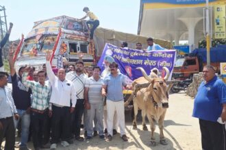 बैल ठेला चलाने को मजबूर ट्रांसपोर्टर