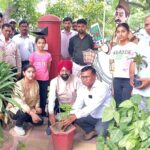 कैंट डाकखाने में लगाए गए पौधे