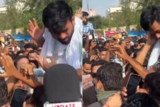 कॉकरोच पार्टी प्रमुख को मारे चांटे