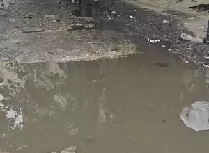 गोद लिए स्कूल की भी सुध लेने को तैयार नहीं मंत्री