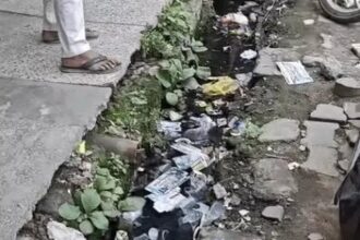 मेयर के वार्ड में हर शख्स परेशान सा क्यों है
