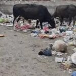 समस्याओं के अलावा कुछ भी तो नहीं इस वार्ड में