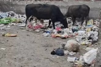 समस्याओं के अलावा कुछ भी तो नहीं इस वार्ड में