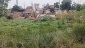 स्टे की मियाद पूरी तो भी कार्रवाई राजी नहीं अफसर