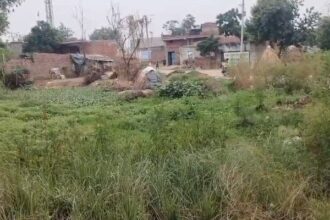 स्टे की मियाद पूरी तो भी कार्रवाई राजी नहीं अफसर
