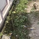 मामूली बारिश में तालाब में तब्दील इलाका