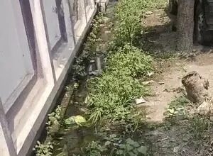 मामूली बारिश में तालाब में तब्दील इलाका