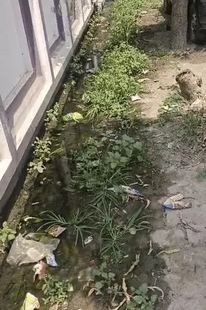 मामूली बारिश में तालाब में तब्दील इलाका