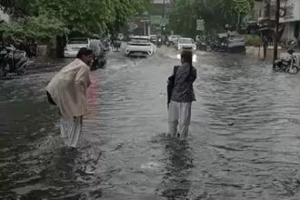 निगम अलर्ट! बारिश ने थामी शहर की रफ्तार हर तरफ पानी