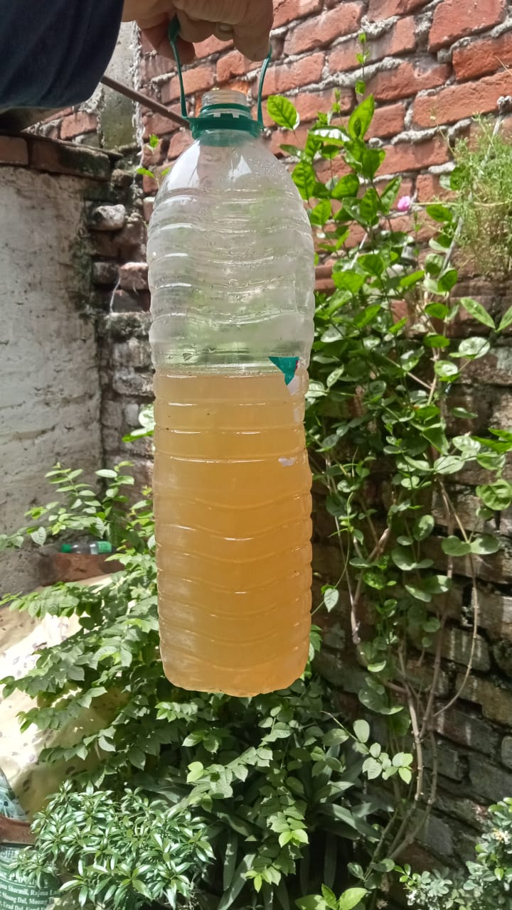 सड़ांध उठ रही टोटियों से आ रहे पानी से