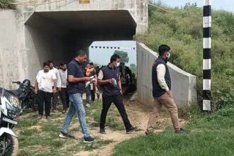 विधवा के जवान बेटे की हत्या