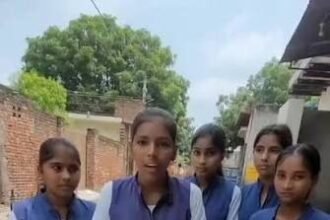 टीम कॉक्रोच एक्टिव सुलग रहे एल्फा