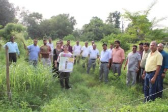 पार्थेनियम जागरूकता एवं उन्मूलन कार्यक्रम