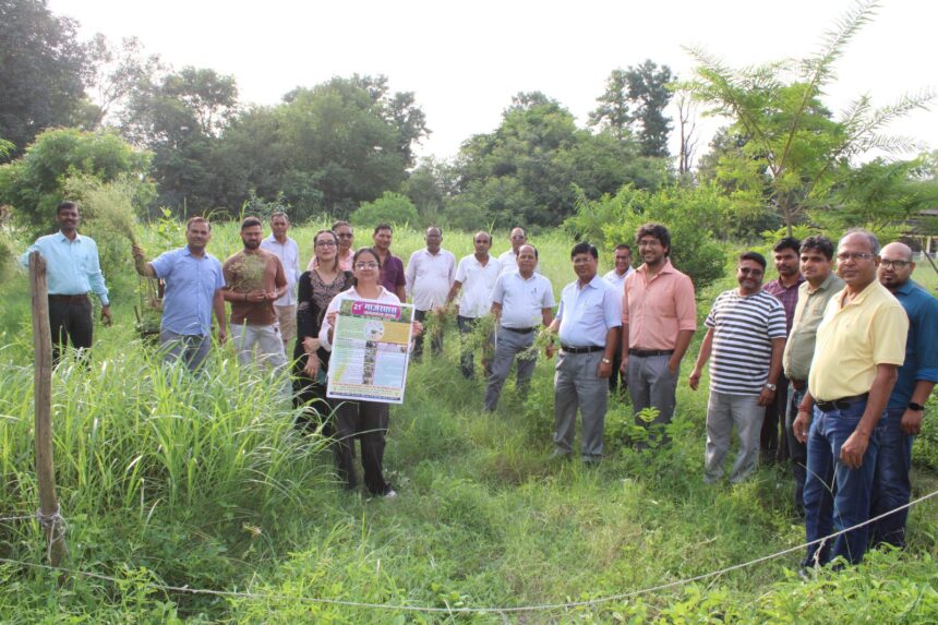 पार्थेनियम जागरूकता एवं उन्मूलन कार्यक्रम