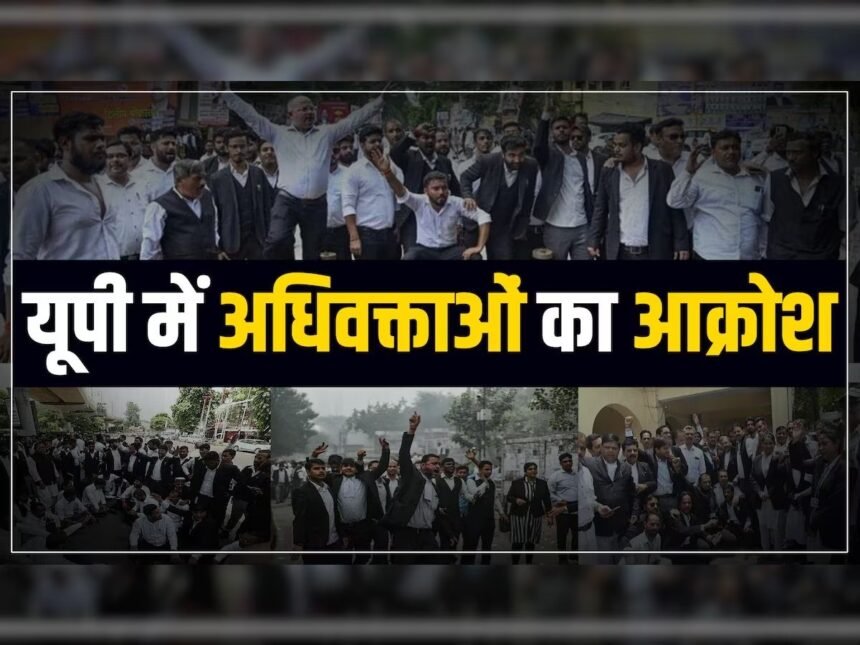70 साल ये वेस्ट को एक अदत बेंच की दरकार