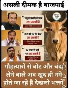 बीफ पर भाजपा के बड़े नेताओं को डबल स्टैंड