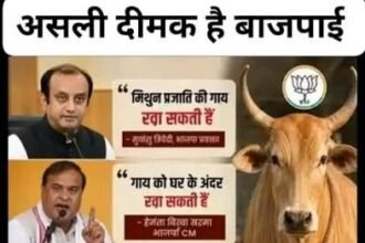 बीफ पर भाजपा के बड़े नेताओं को डबल स्टैंड