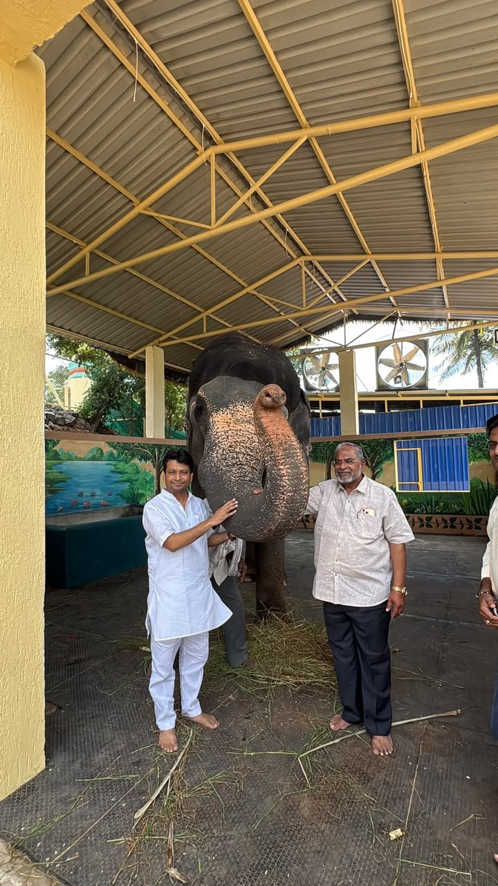 हथिनी माधुरी पर PETA को सुप्रीम फटकार
